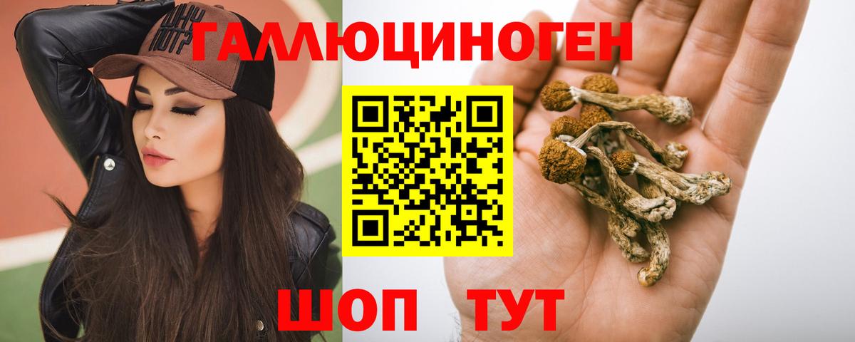 Псилоцибиновые грибы MAGIC MUSHROOMS  Псилоцибиновые грибы прущие грибы  Вход с VPN  Корсаков 